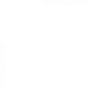Pozitif Kargo